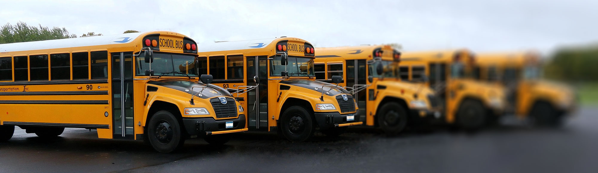 Row of yellow school buses
